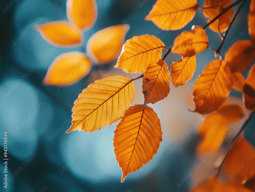 Wallpaper of autumn background Wallpaper of autumn background