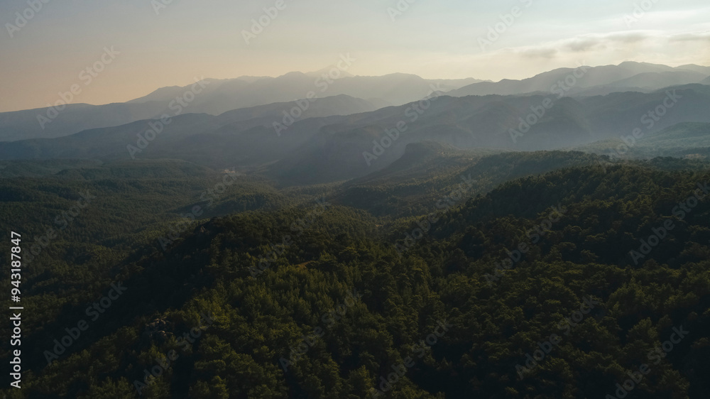 Aerial view of a vast, desolate, lush forest area. Aerial view of a vast, desolate, lush forest area.