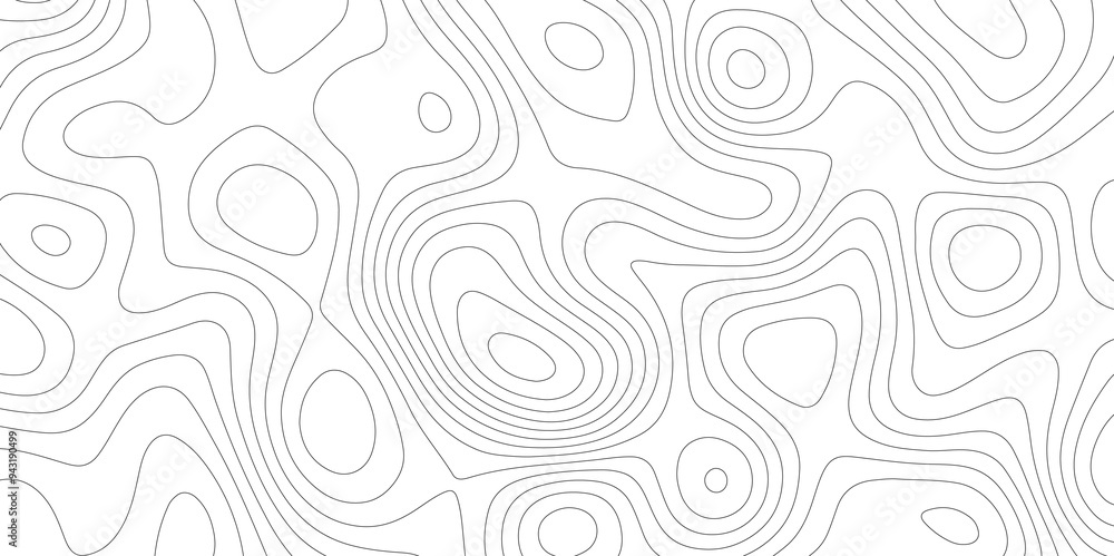 Topological Contours: A White Vector Approach to Topography Topological Contours: A White Vector Approach to Topography