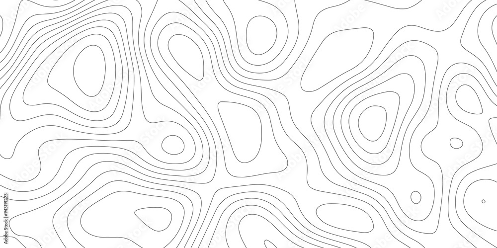 Mapping in White: The Topographical Topology of Vectors Mapping in White: The Topographical Topology of Vectors