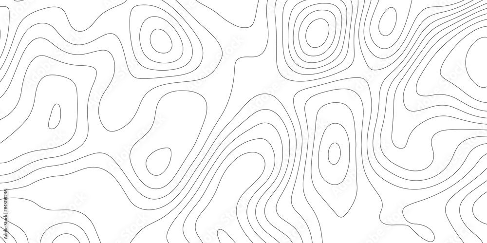 Mapping in White: The Topographical Topology of Vectors Mapping in White: The Topographical Topology of Vectors