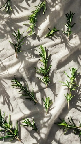 Fresh Rosemary Sprigs on Fabric with Shadows