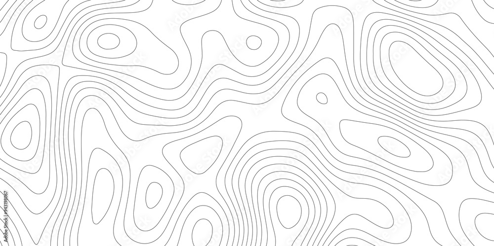 Contour Lines and Vectors: Topography Meets Topology Contour Lines and Vectors: Topography Meets Topology