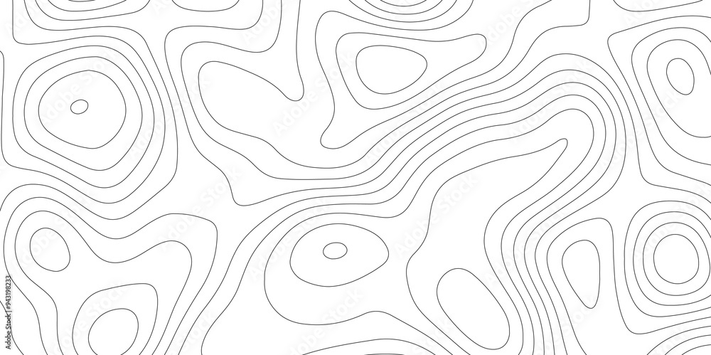 Contour Lines and Vectors: Topography Meets Topology Contour Lines and Vectors: Topography Meets Topology
