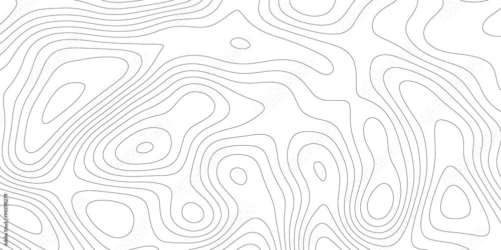Contour Lines and Vectors: Topography Meets Topology Contour Lines and Vectors: Topography Meets Topology