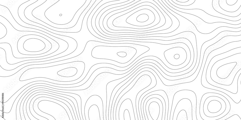White Spaces: The Topographical and Topological Contours White Spaces: The Topographical and Topological Contours