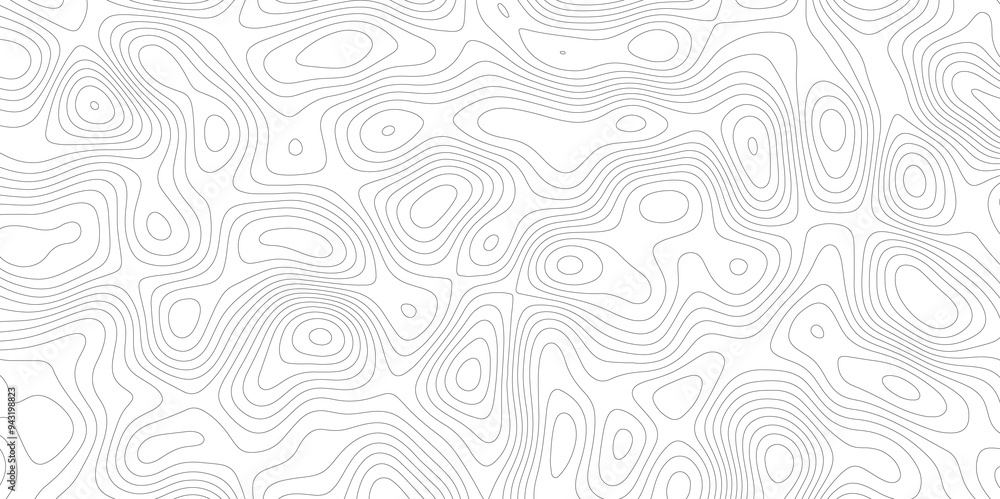 White Spaces: The Topographical and Topological Contours White Spaces: The Topographical and Topological Contours