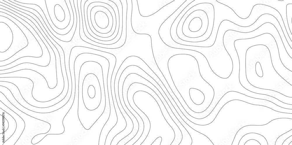 White Spaces: The Topographical and Topological Contours White Spaces: The Topographical and Topological Contours