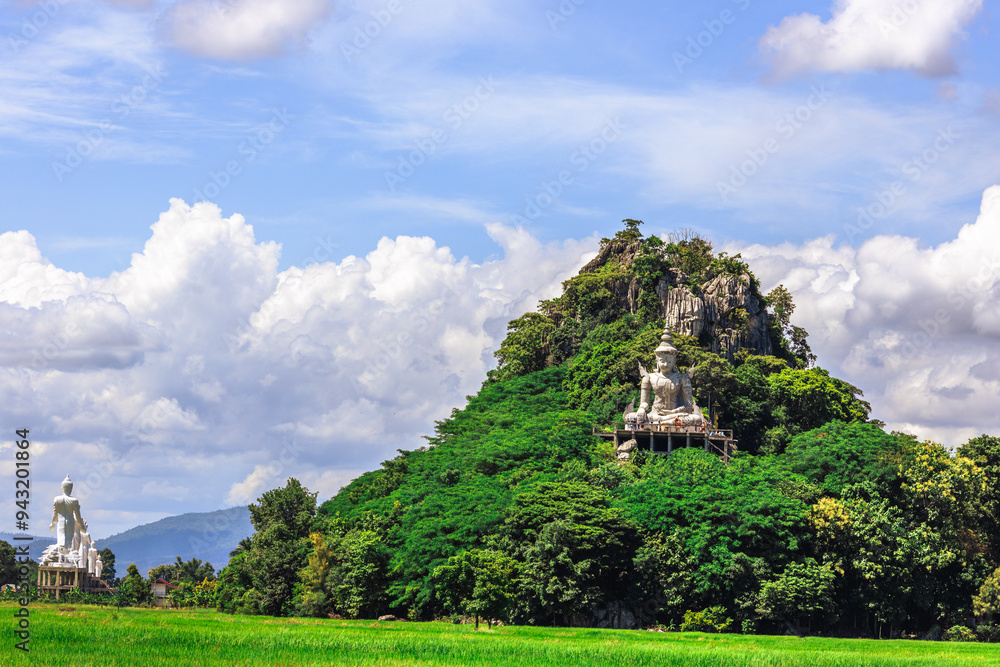 The close background of the green rice fields, the seedlings that are growing, are seen in rural areas as the main occupation of rice farmers who grow rice for sale or living. The close background of the green rice fields, the seedlings that are growing, are seen in rural areas as the main occupation of rice farmers who grow rice for sale or living.