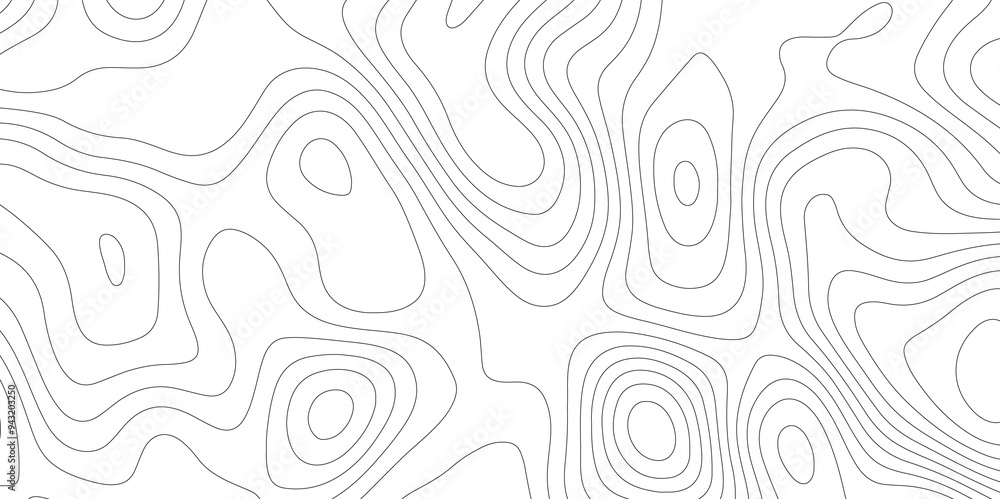Vector Mapping: Contours of Topography and Topology Vector Mapping: Contours of Topography and Topology