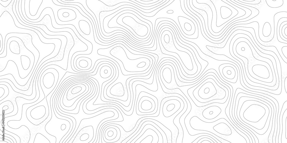 Vector Mapping: Contours of Topography and Topology Vector Mapping: Contours of Topography and Topology