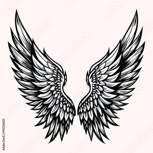 Eagle bird or angel wings vector illustration