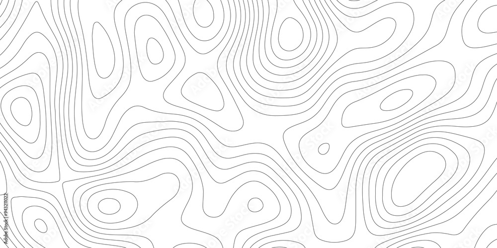 White Vector: Mapping the Contours of Topography and Topology White Vector: Mapping the Contours of Topography and Topology