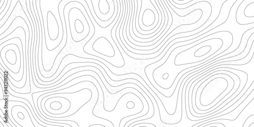 White Vector: Mapping the Contours of Topography and Topology