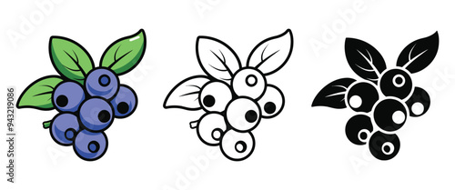 Blueberry vector illustration, outline, silhouette