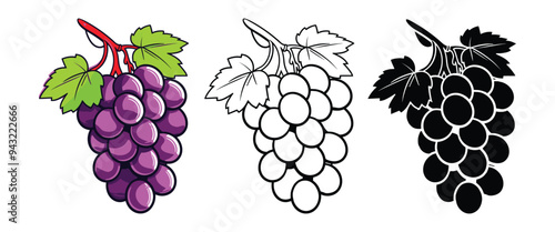 Grapes vector illustration, outline, silhouette