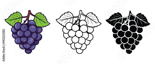 Grapes vector illustration, outline, silhouette