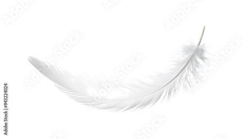 Soft White Feathers Gently Drifting Down on Transparent Background