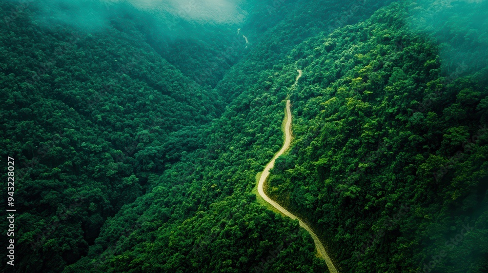 Aerial view of a winding road through lush green mountains, enveloped in mist. Perfect for nature and travel imagery. Aerial view of a winding road through lush green mountains, enveloped in mist. Perfect for nature and travel imagery.