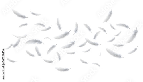 Lightweight White Feathers Floating on Transparent Background