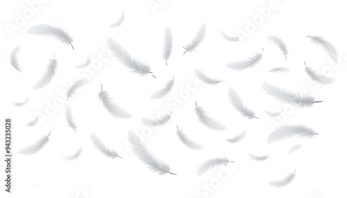 Floating White Feathers Isolated on Transparent Background
