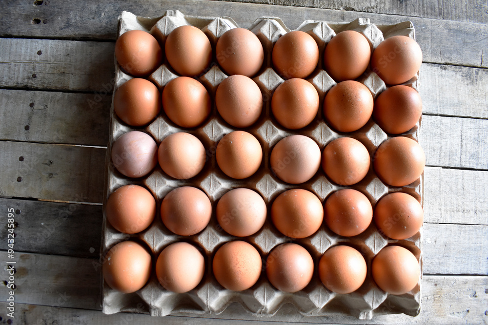 eggs in carton eggs in carton