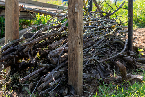 Dry hedge or Benjes hedge made of maintenance pruning branches, dead wood and roots, maintenance-free hedge, zero waste, upcycling, ecological, biotope welcoming to wildlife photo