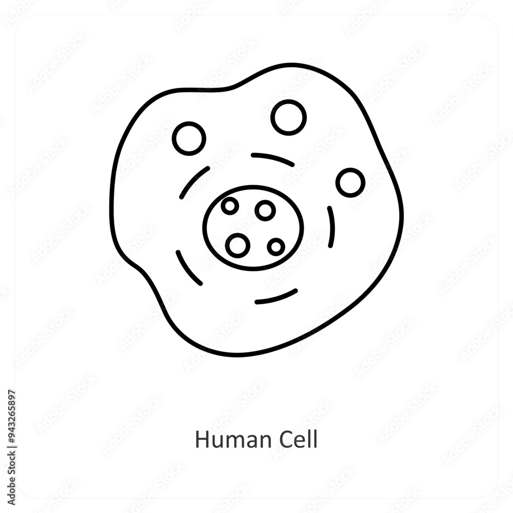 Fototapeta premium Human Cell