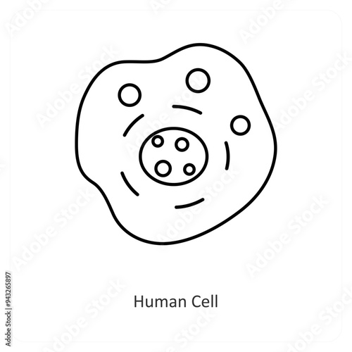 Human Cell