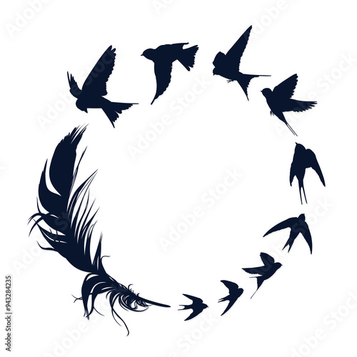 Round frame with feather and flock of birds.
