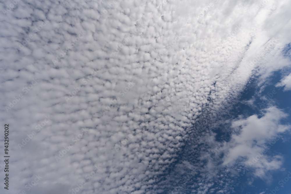 Fototapeta premium Photo background texture of blue sky with small clouds.