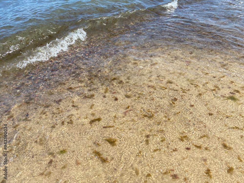 Shore with sea waves, stones, algae and fine sand Shore with sea waves, stones, algae and fine sand