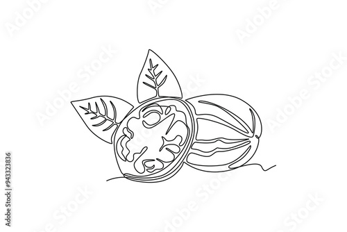 Single continuous line drawing of whole healthy organic walnut food and leaves for orchard logo identity. Fresh nutshell concept for healthy seed icon. One line draw graphic design vector illustration