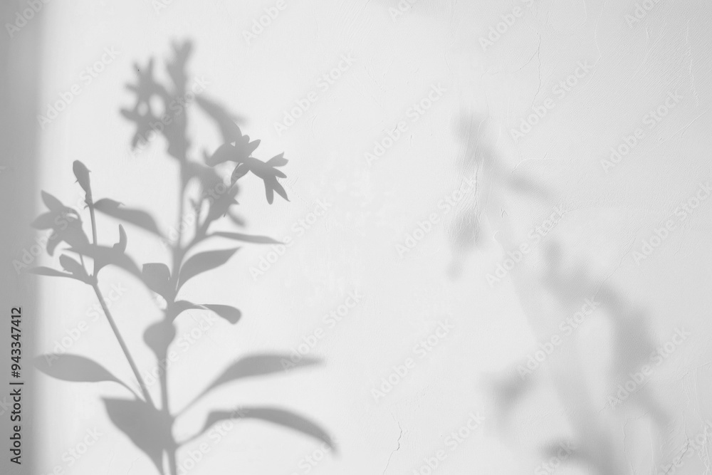 PNG Soft plant shadow on wall PNG Soft plant shadow on wall