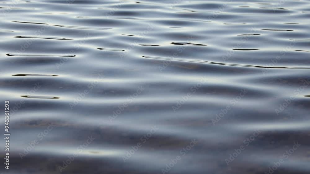 Serene Ripples: The Art of Smooth Waters Serene Ripples: The Art of Smooth Waters