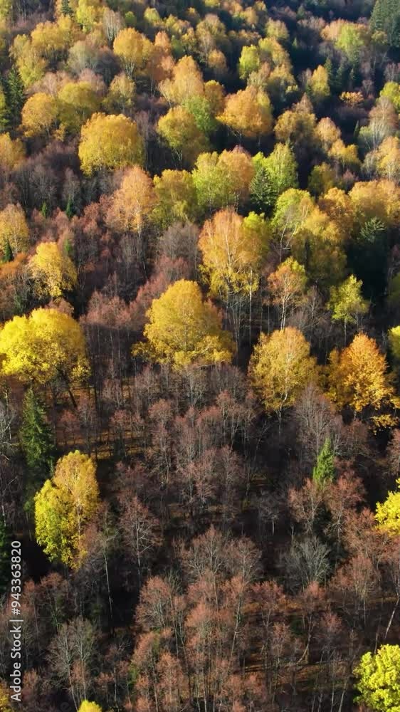 Aerial view of mountain during autumn Aerial view of mountain during autumn