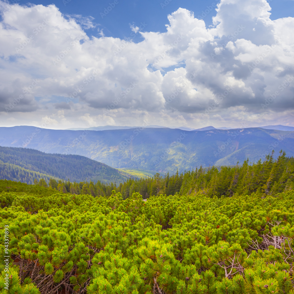 Fototapeta premium green mountain valley under a dense cloudy sky