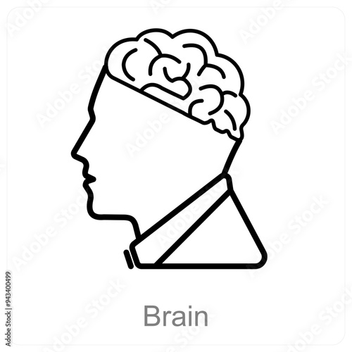 Brain