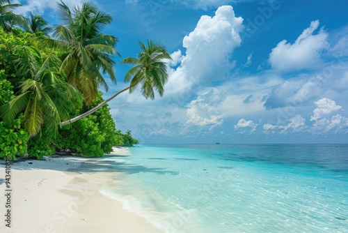 Luxurious tropical landscape. White sand with palm trees and azure sea. A heavenly place to relax. Beautiful exotic summer beach background for design.