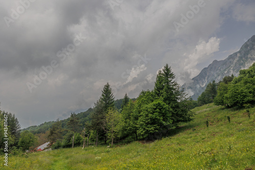 vista panoramica su un ambiente naturale di montagna che si estende da un prato vicino fino ai pendii e alle cime e catene montuose alpine a distanza, sotto un cielo nuvoloso, di giorno, in estate photo