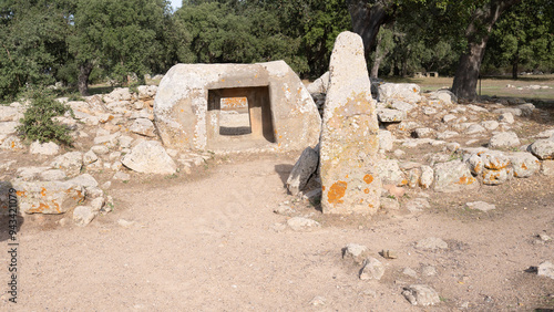 megalithic menhirs arise in the nuragic village pranu muttedu Goni photo