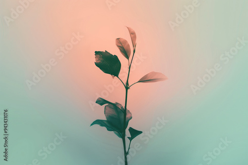 Minimalist Photography of Leaves on a Plant Stem with Soft Gradient Background photo