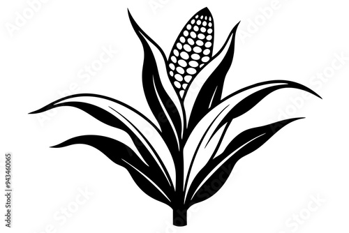 Corn silhouette icon isolated Vector illustration