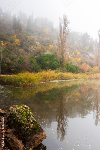autumn in the forest lake 