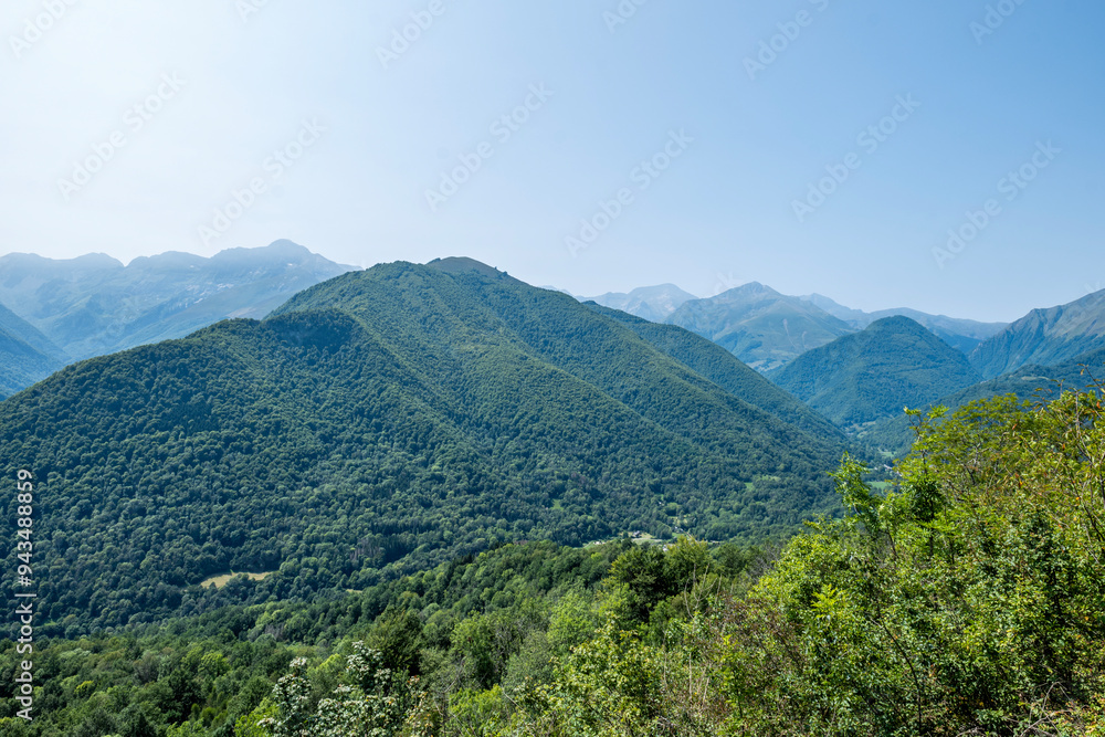 Mountain view with wildflowers and distant peaks Mountain view with wildflowers and distant peaks