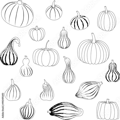 A set of pumpkins in black and white. Great for harvest, autumn or Helloween celebrations - make up your own faces. Vector illustration