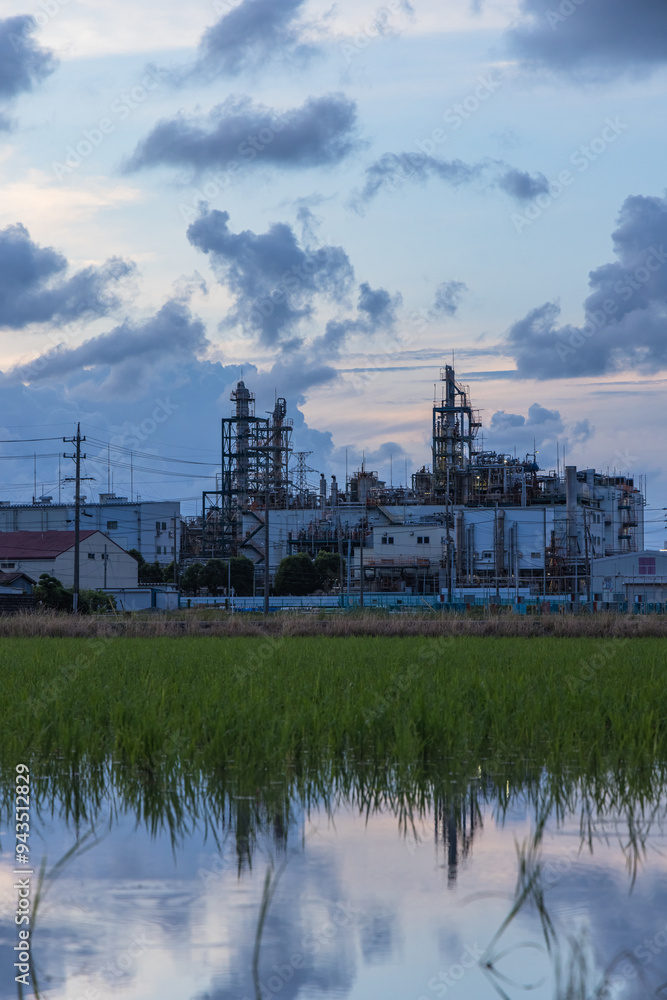 Obraz premium 初夏の田んぼに映る夕暮れの空
