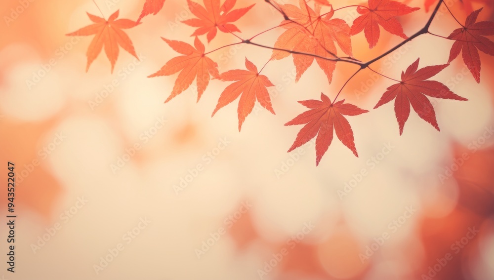 Vibrant Autumn Maple Leaves: A Close-Up View of Nature's Beauty Vibrant Autumn Maple Leaves: A Close-Up View of Nature's Beauty