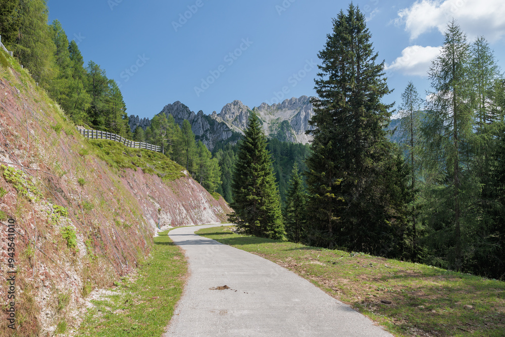 vista panoramica su una strada che scende lungo il pendio di un monte, circondato da lunghe foreste e con alte catene montuose in lontananza, sotto un cielo azzurro, di giorno, in estate, in Italia vista panoramica su una strada che scende lungo il pendio di un monte, circondato da lunghe foreste e con alte catene montuose in lontananza, sotto un cielo azzurro, di giorno, in estate, in Italia