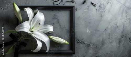 An exquisite lily with a black funeral ribbon rests on a grey concrete backdrop creating a poignant scene with copy space image
